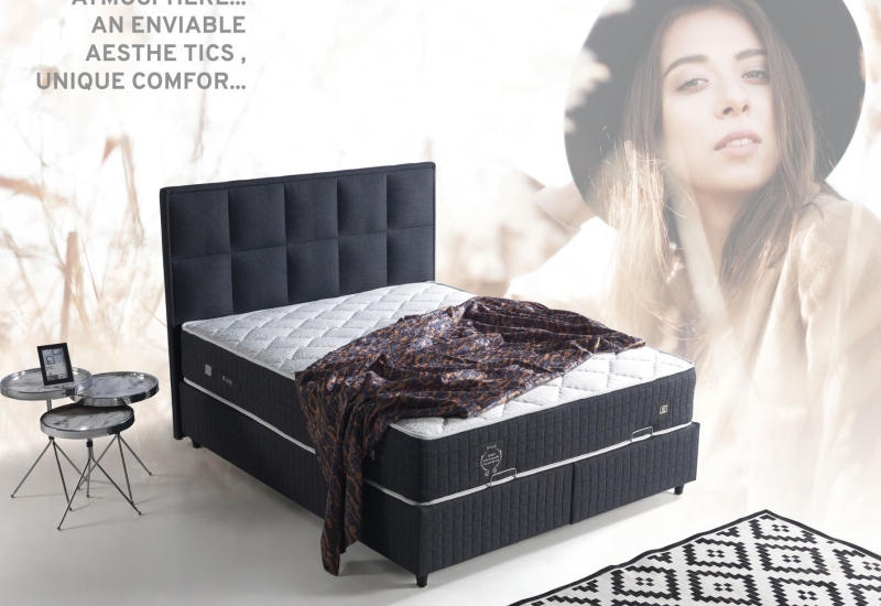 <p>ARTE BAZA+BASLIK 160*200</p>
